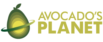 Avocados Planet